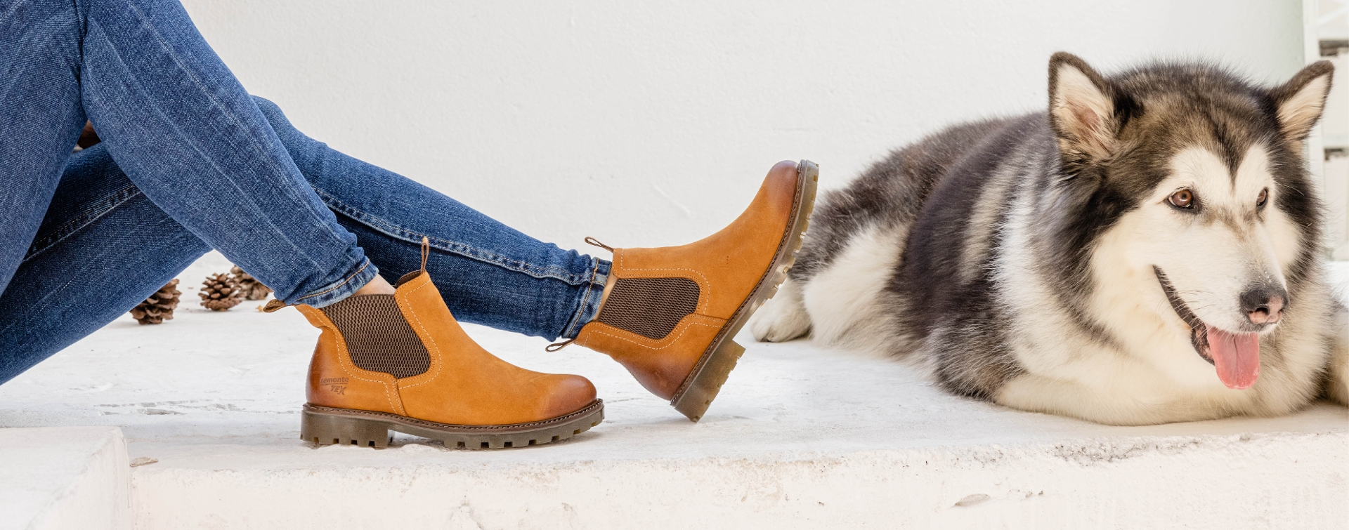 Girl sitting wearing brown Chelsea boots with a dog